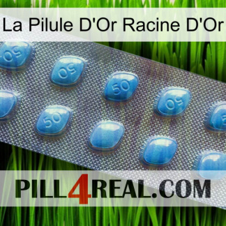 The Golden Root Gold Pill viagra3